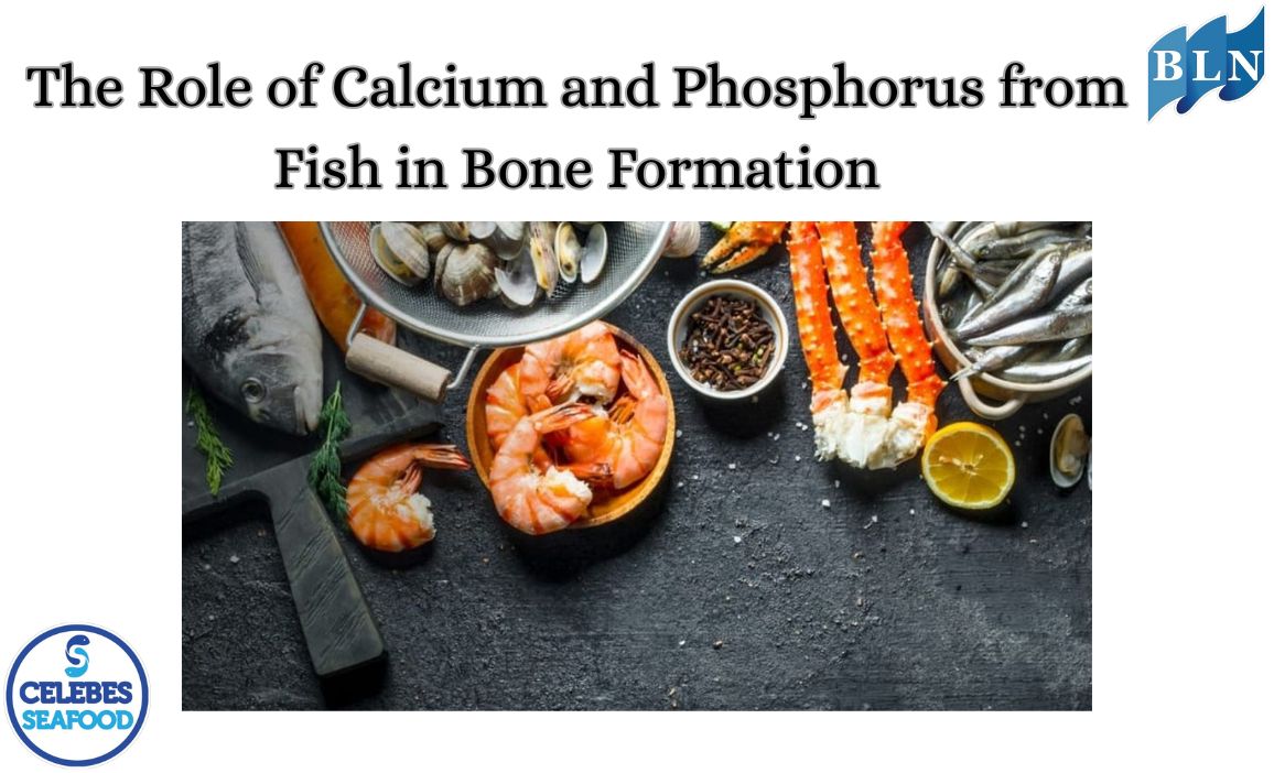 The Role of Calcium and Phosphorus from Fish in Bone Formation